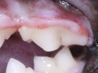 2 months after treatment